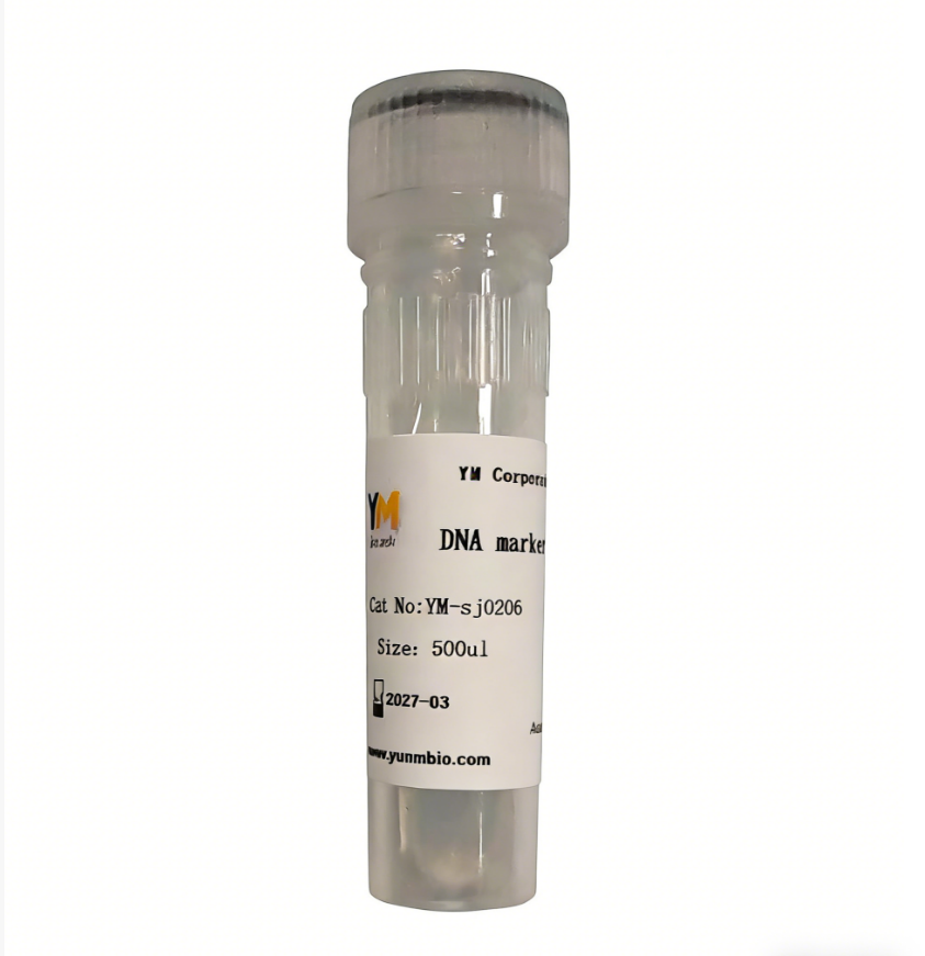 DNA marker(2000/5000)